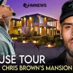 $4.6 Million Chris Brown House in Tarzana, California
