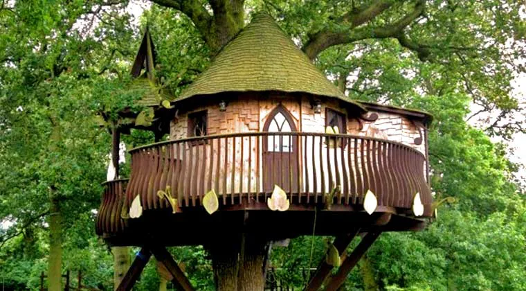 Themed Treehouses