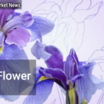 Iris Flowers: Top Varieties for Stunning Gardens - Your Source for the Latest Housing Trends | Housing Market News| Iris Flowers Top Varieties for Stunning Gardens