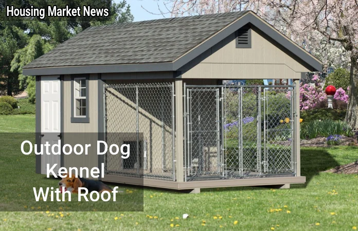 A Comprehensive Guide to Outdoor Dog Kennels with Roofs