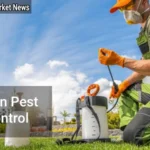 Lawn Pest Control Keep Your Grass Green and Healthy