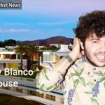 Benny Blanco House A Glimpse into the Music Producer's Eclectic Abode