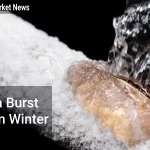Fix a Burst Pipe in Winter - Quick Action Saves Homes - Your Source for the Latest Housing Trends | Housing Market News| Fix a Burst Pipe in Winter - Quick Action Saves Homes
