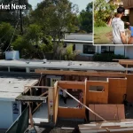 San Jose Homeowners Are Loving These Stunning Remodeling Ideas in 2025! - Your Source for the Latest Housing Trends | Housing Market News| San Jose Homeowners Are Loving These Stunning Remodeling Ideas in 2025!