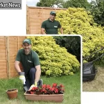 7 Mediterranean Edibles You Can Grow at Home