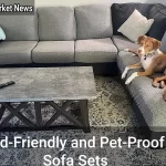 Kid-Friendly and Pet-Proof: Making Your Sofa Work for the Whole Family - Your Source for the Latest Housing Trends | Housing Market News| Kid-Friendly and Pet-Proof Sofa Sets