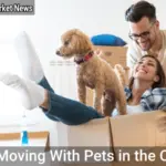 Moving With Pets in the City: Finding Pet-Friendly Rentals - Your Source for the Latest Housing Trends | Housing Market News| Moving With Pets in the City: Finding Pet-Friendly Rentals