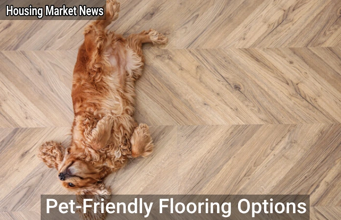 Pet-Friendly Flooring Options for Home