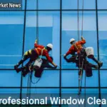 Professional Window Cleaner