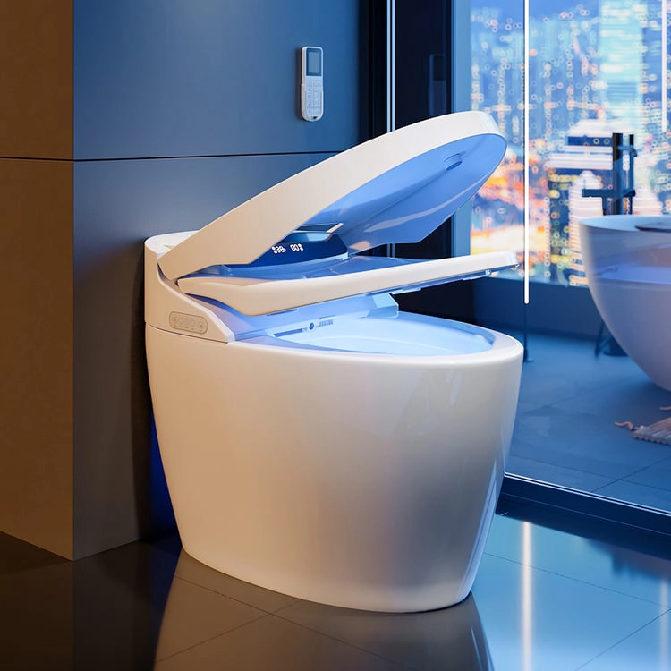 Smart One Toilet