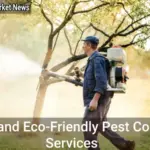 Safe and Eco-Friendly Pest Control Services
