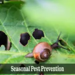 Seasonal Pest Prevention tips for every season of the year