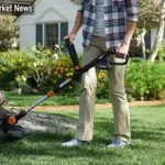 The Sneaky Reason Your Grass Looks Patchy