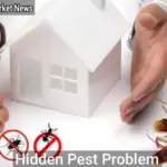 The Silent Invaders: Signs You Have a Hidden Pest Problem - Your Source for the Latest Housing Trends | Housing Market News| Hidden Pest Problem