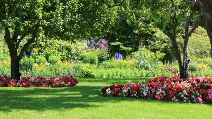 Housing Market News: Real Estate and Home Improvement Tips - Your Source for the Latest Housing Trends | Housing Market News| Gardening