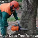 How Much Does Tree Removal Cost