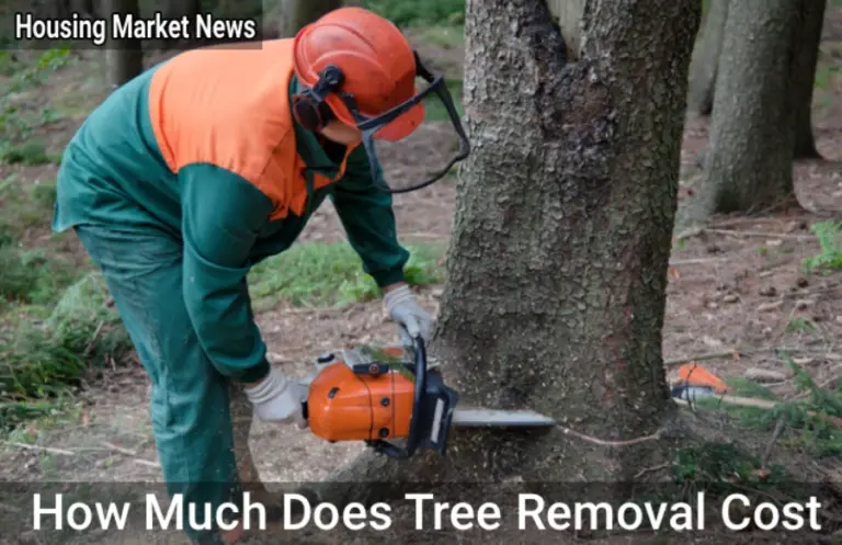 How Much Does Tree Removal Cost? (2025 Pricing Guide) How Much Does Tree Removal Cost
