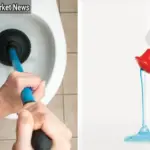 How to Unclog a Toilet