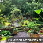 Sustainable landscaping techniques shown with green potted plants