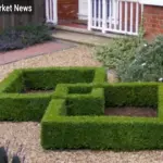 Mediterranean-Style Landscaping: Bringing the Riviera Home