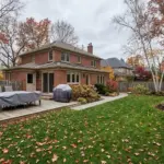 Toronto Winter Backyard Care
