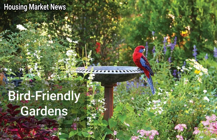 Bird-Friendly Gardens - Creating Avian Havens