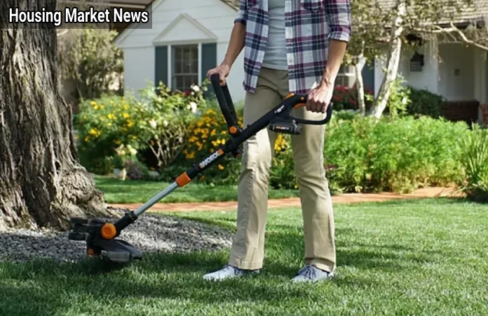 The Sneaky Reason Your Grass Looks Patchy The Sneaky Reason Your Grass Looks Patchy